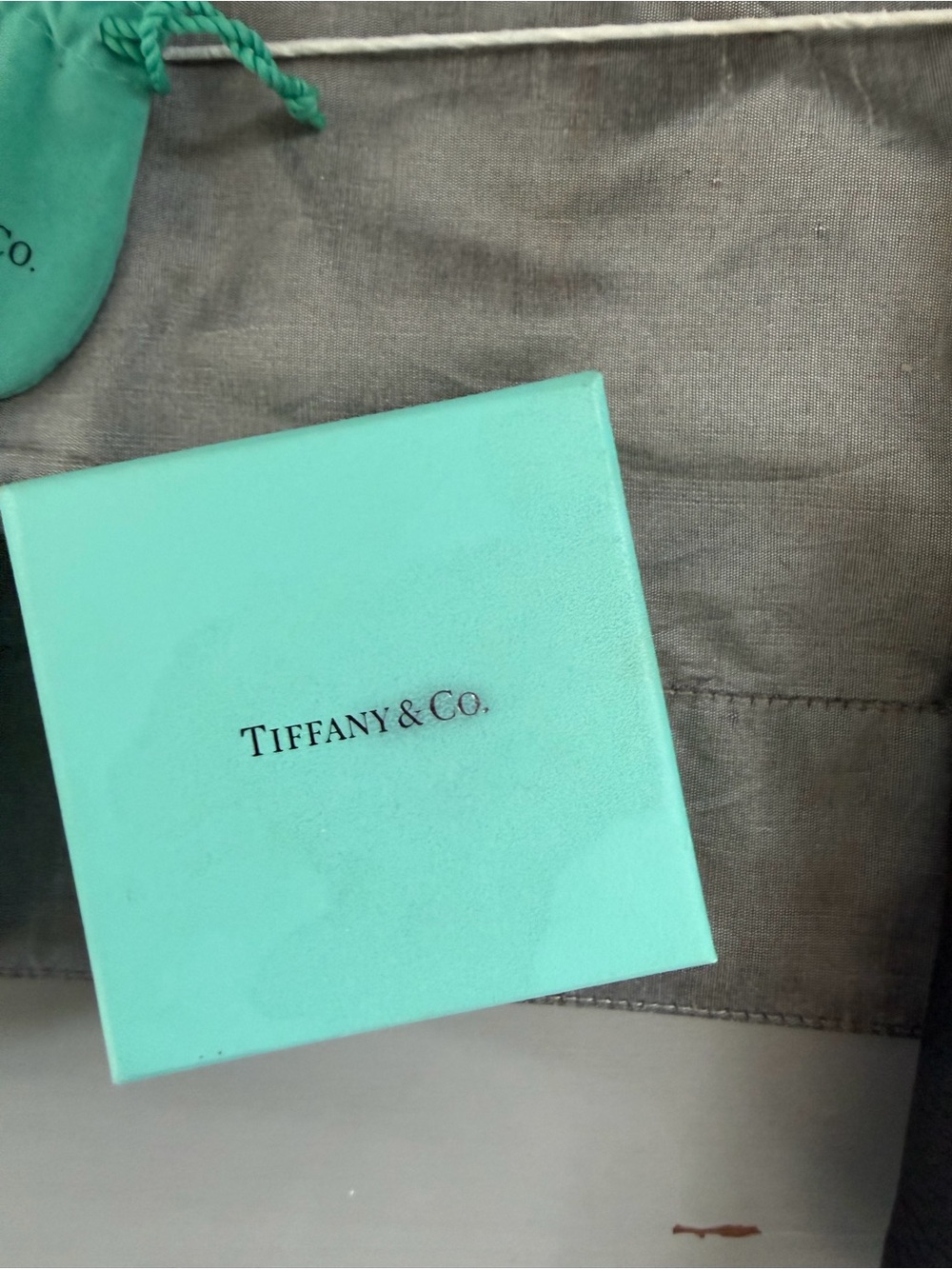 Tiffany & Co. Signature Blue Jewelry Boxes and Pouches - Picture 4 of 13